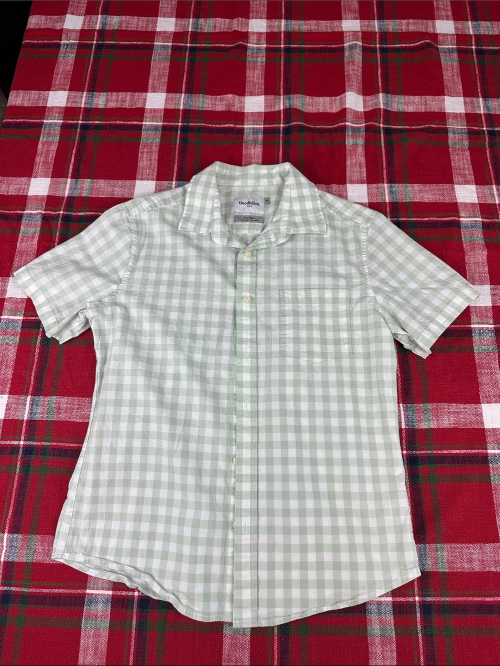 Short-Sleeve Light Green Gingham Button-Down Shirt